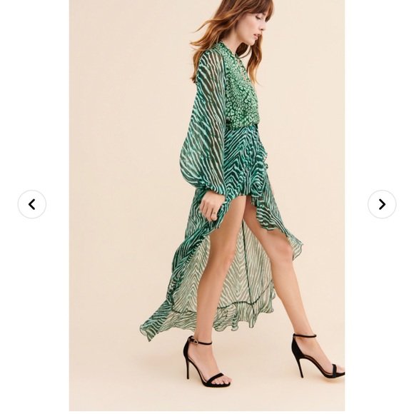 Rococo Sand Irene Animal Print Dress - Picture 3 of 13